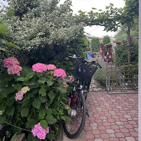 民宿 Przystan 科沃布热格